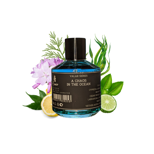 A CHAOS IN THE OCEAN