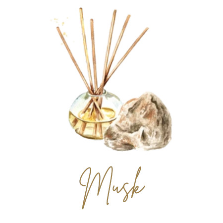 Musky Scent Collection