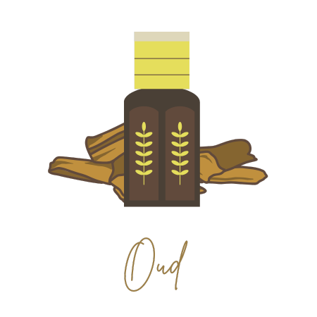 Oud Scent Collection