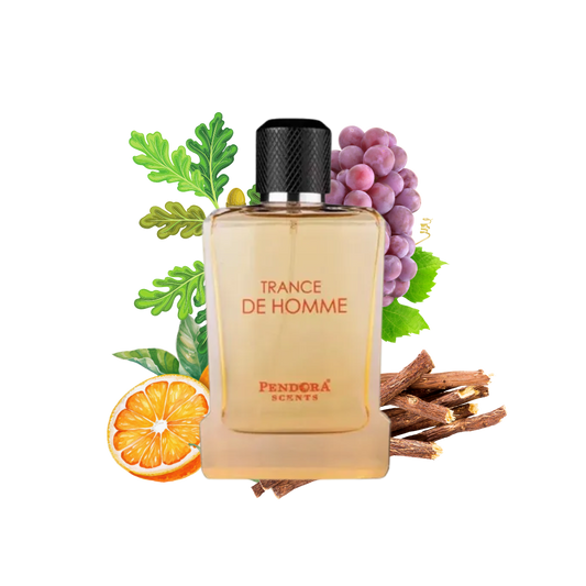 TRANCE DE HOMME