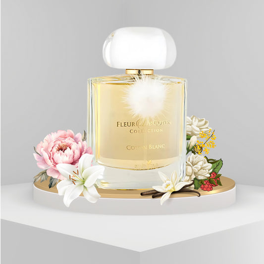 Coton Blanc-Fleur De Coton