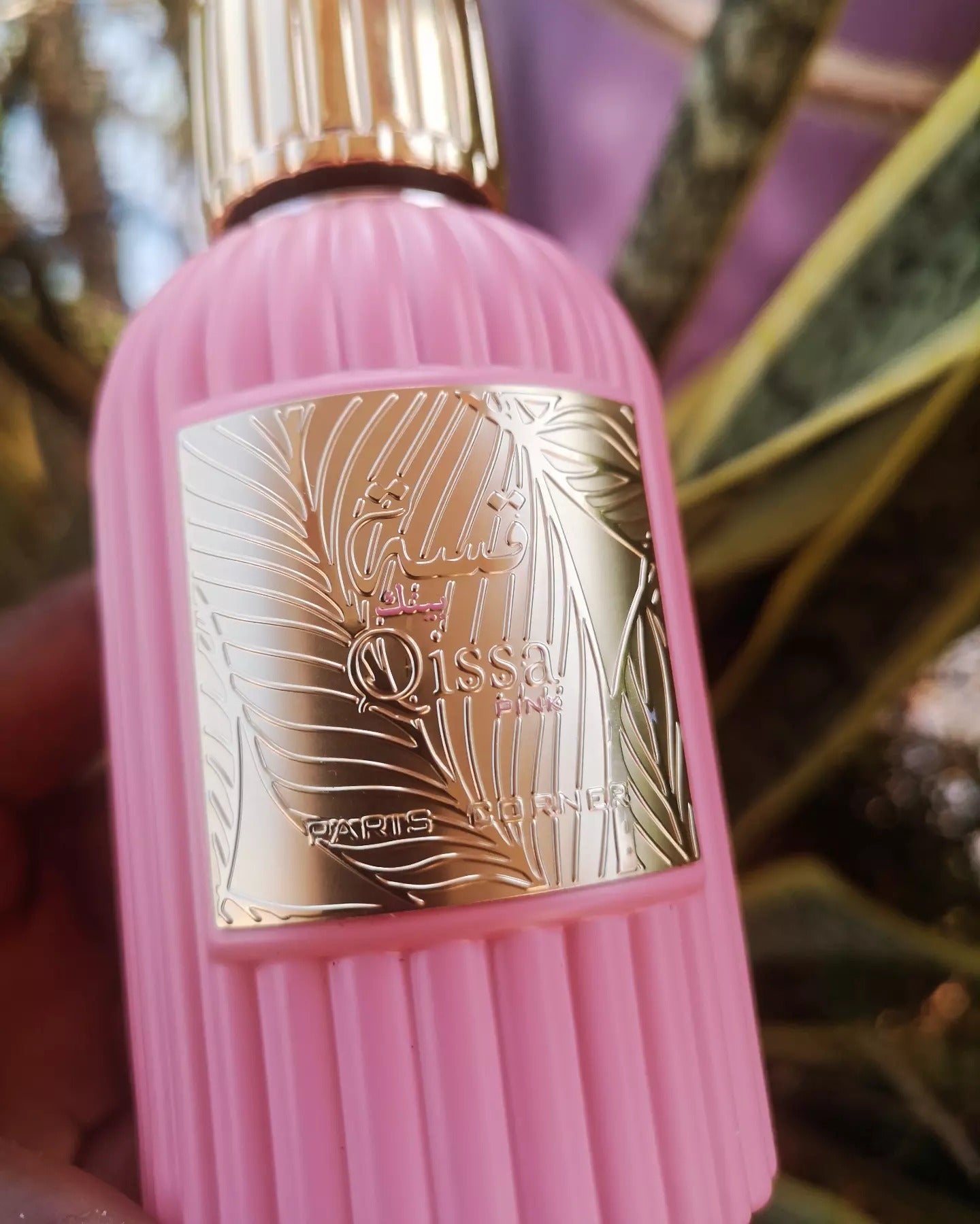 QISSA Pink for Women By Paris Corner Perfumes