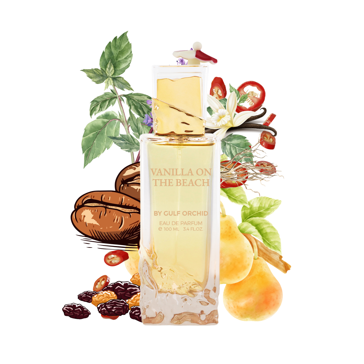 Buy Vanilla on the Beach Best Unisex Perfume By Gulf Orchid